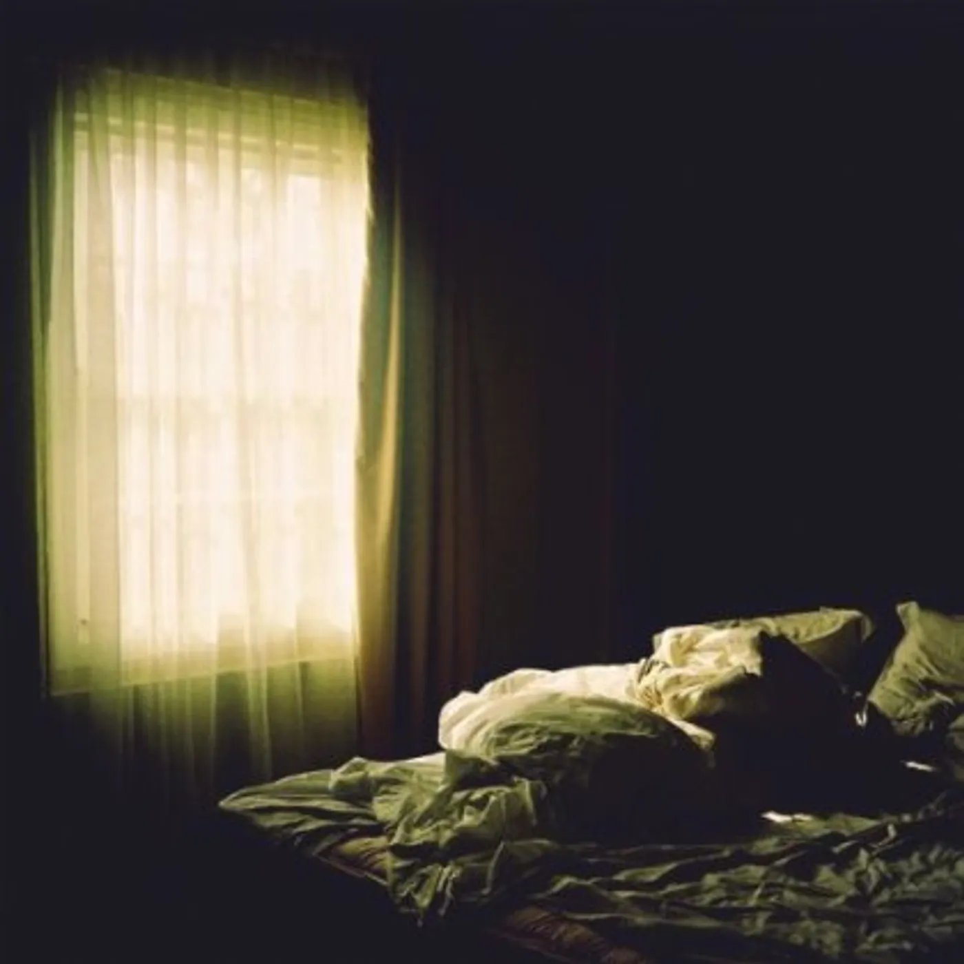 MMOTHS DIARIES Vinyl Record