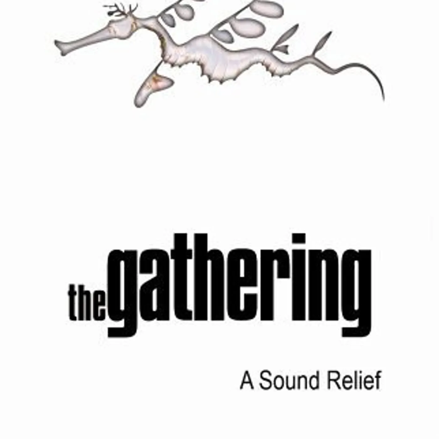 Gathering SOUND RELIEF DVD