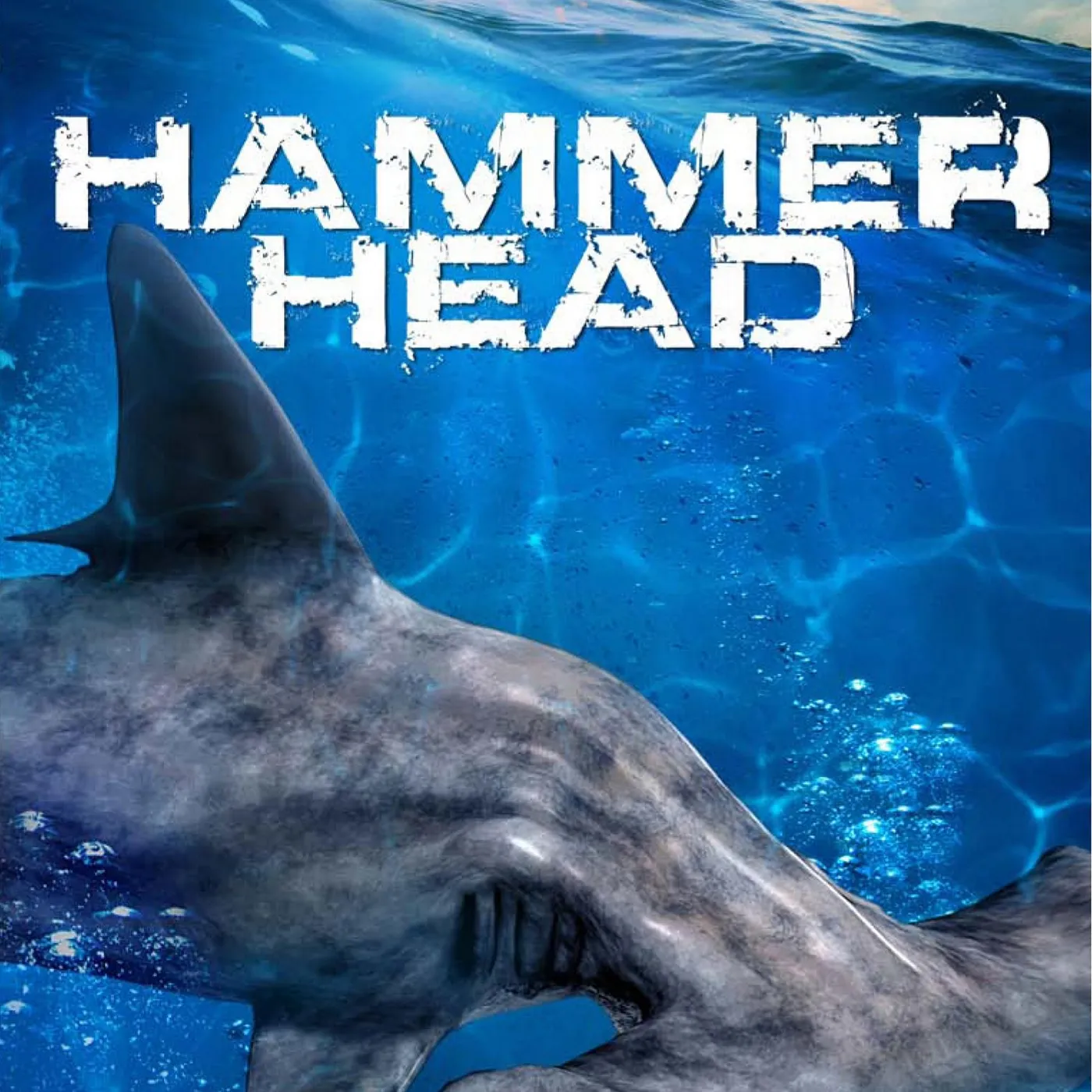 HAMMERHEAD DVD