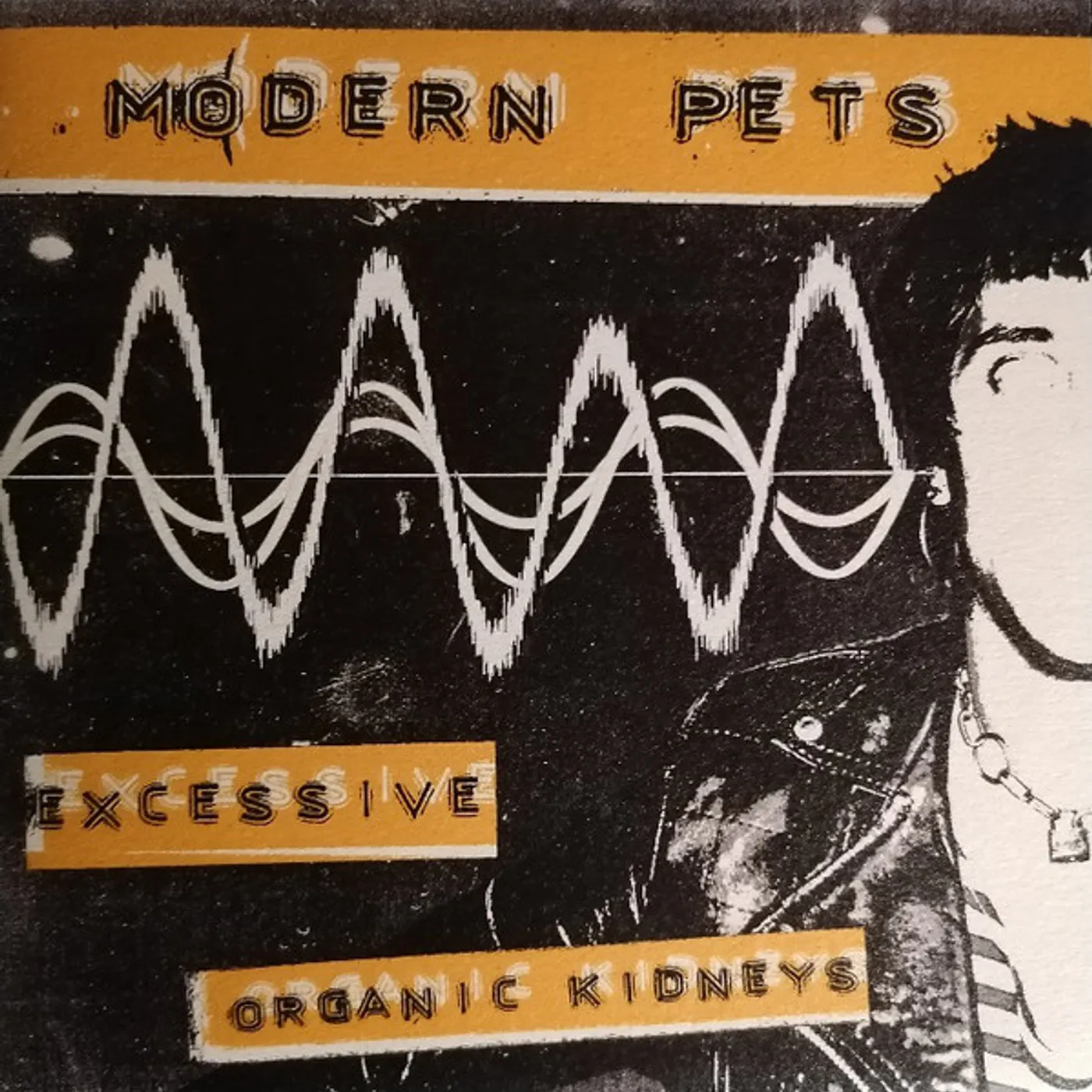 Modern Pets EXCESSIVE / ORGANIC KIDNEYS Vinyl Record
