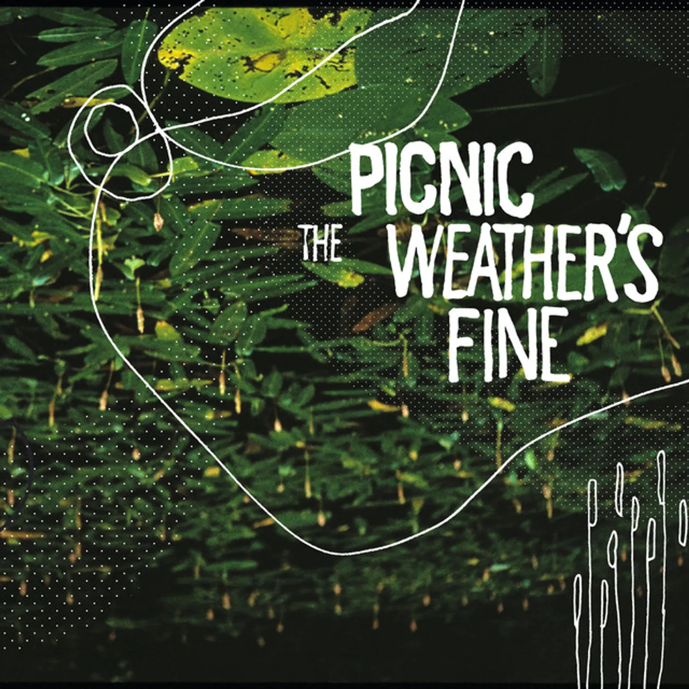 Picnic WEATHER'S FINE Vinyl Record