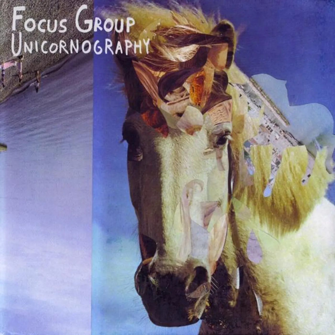 Focus Group UNICORNOGRAPHY & REMIXES CD