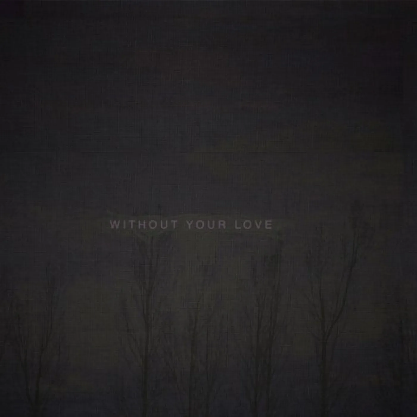 oOoOO Without Your Love Vinyl Record