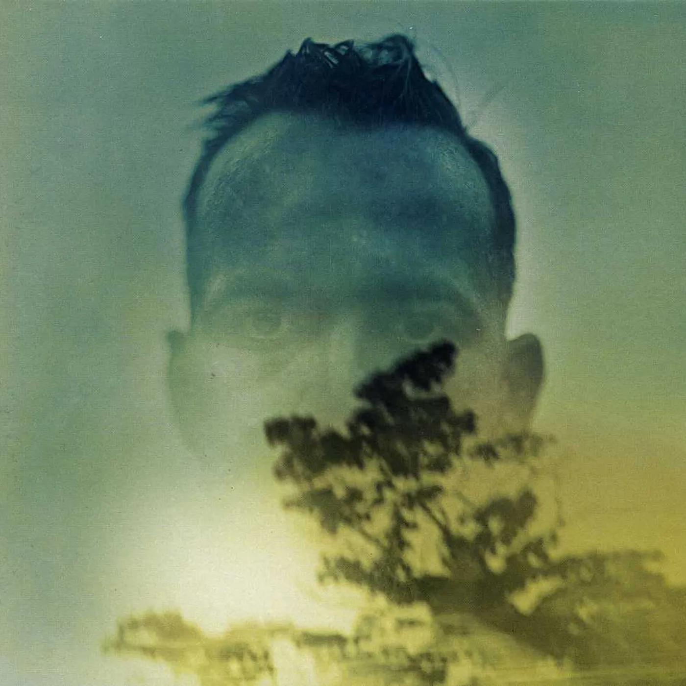 Duquette Johnston RABBIT RUNS A DESTINY CD