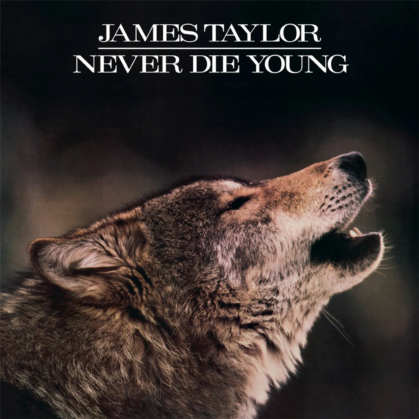 James Taylor Never Die Young Vinyl Record