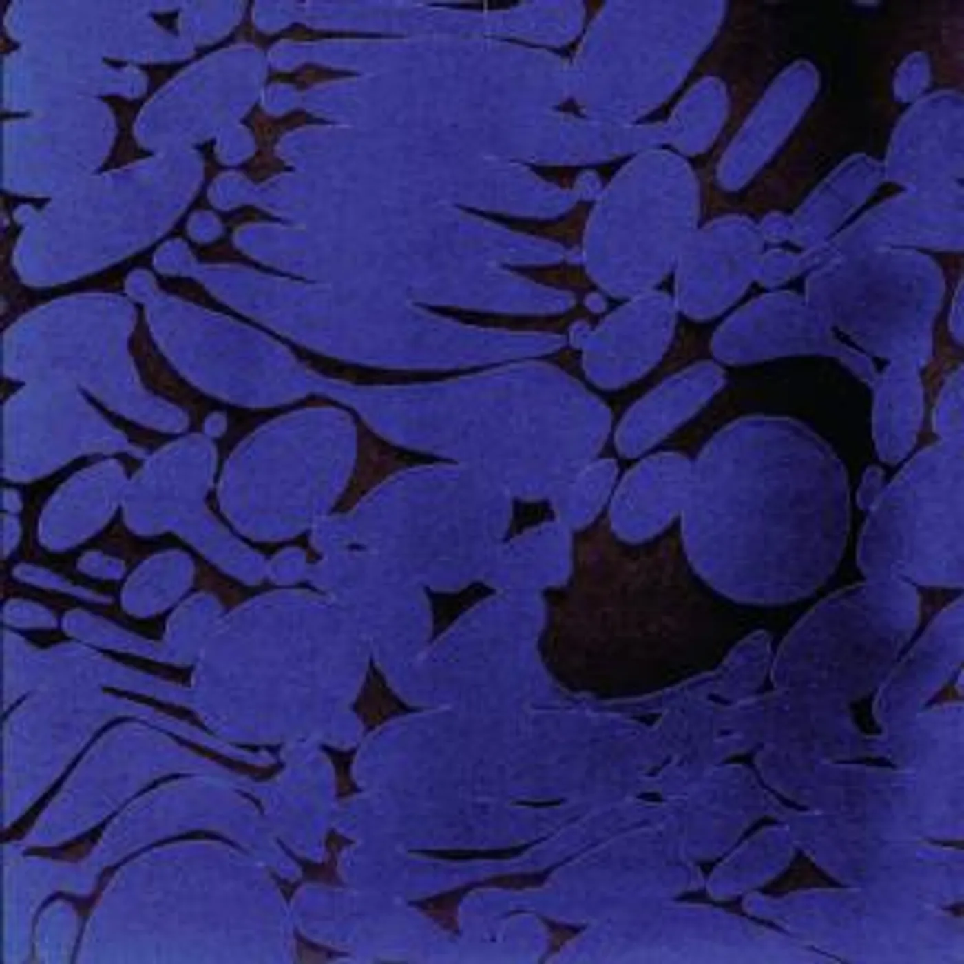 Larry Gus YEARS NOT LIVING CD