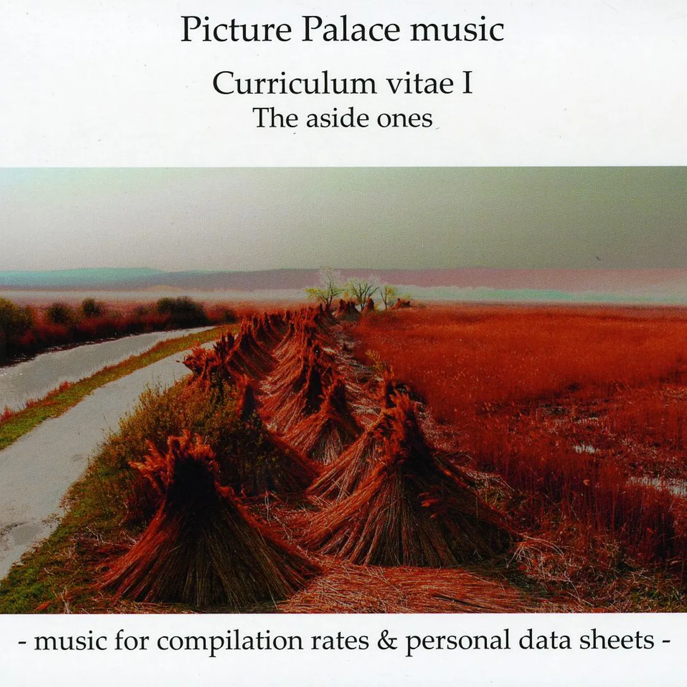 Picture Palace Music CURRICULUM VITAE I CD