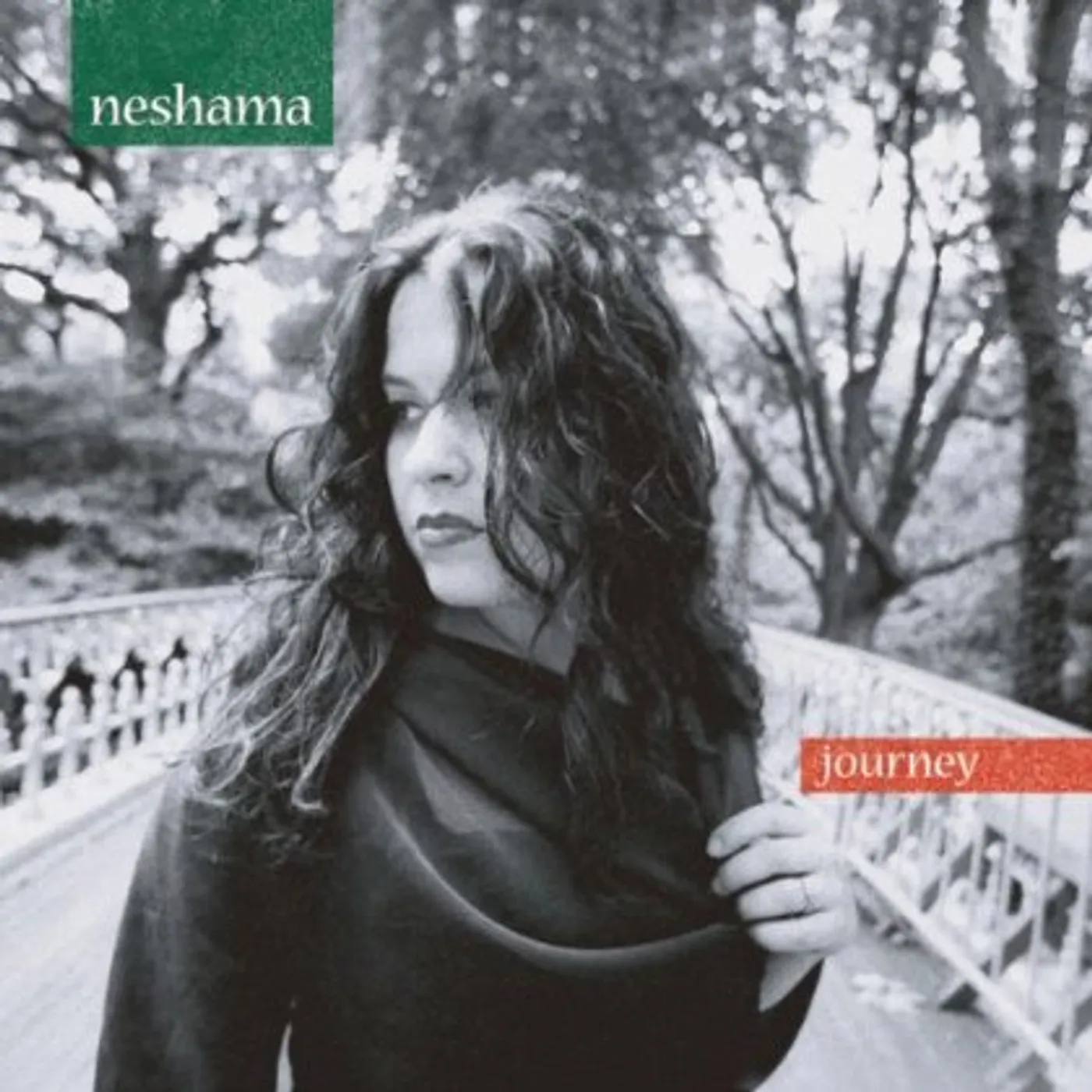 Neshama Carlebach JOURNEY CD