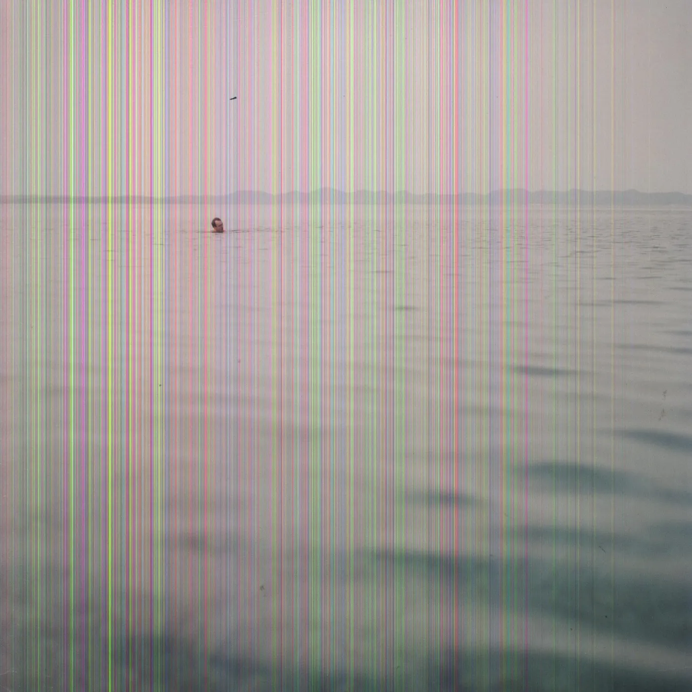 Blue Cranes Swim Vinyl Record