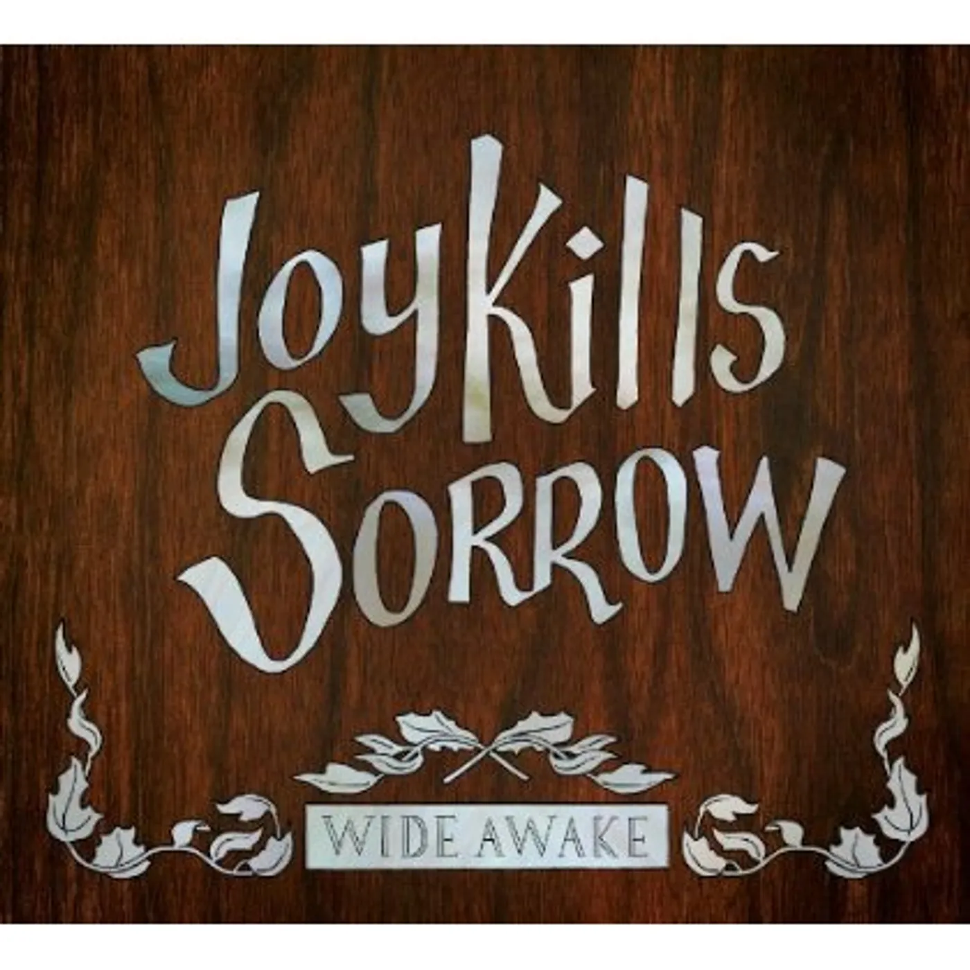 Joy Kills Sorrow WIDE AWAKE CD