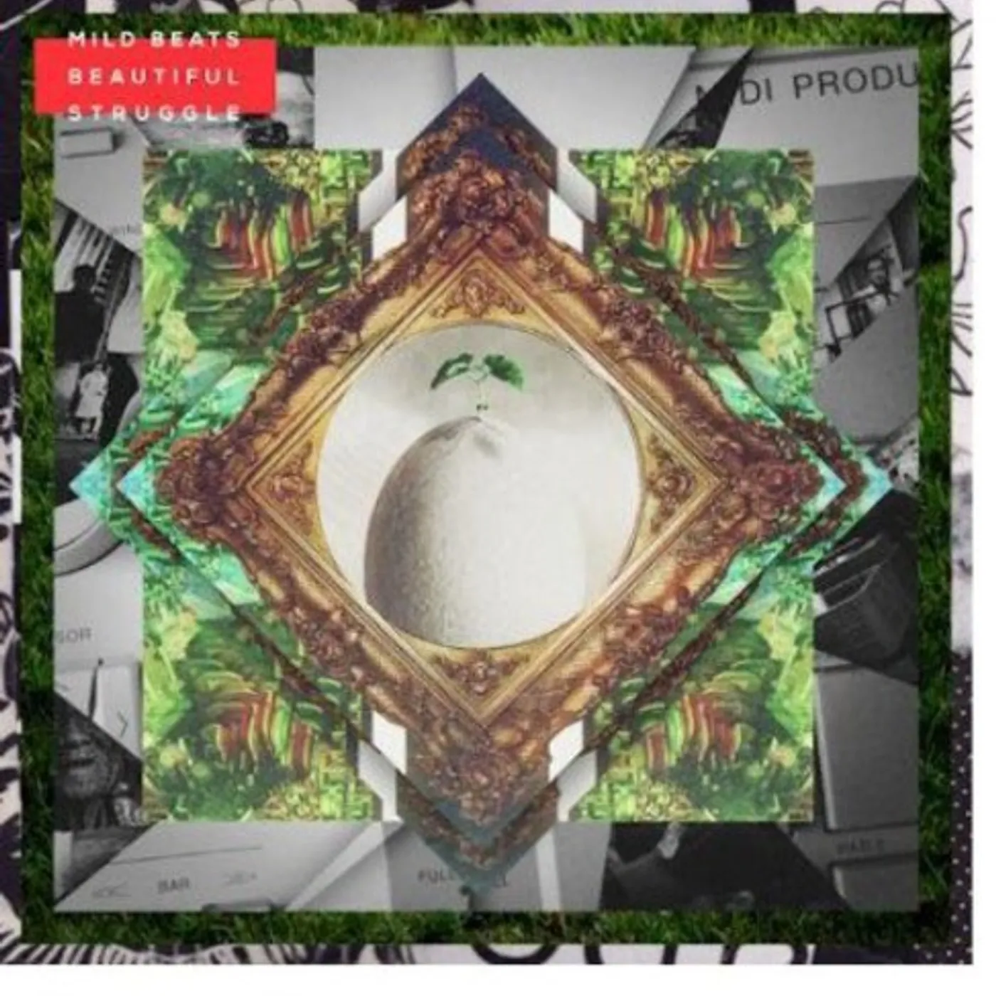 Mild Beats BEAUTIFUL STRUGGLE CD