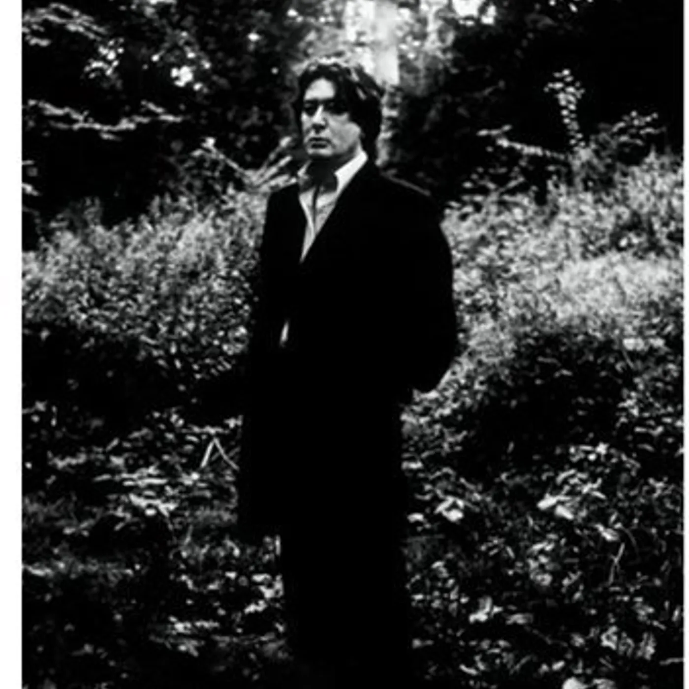 Alain Bashung L'Imprudence Vinyl Record