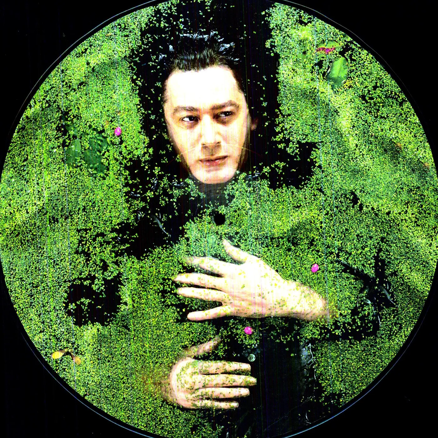 Alain Bashung Fantaisie Militaire Vinyl Record