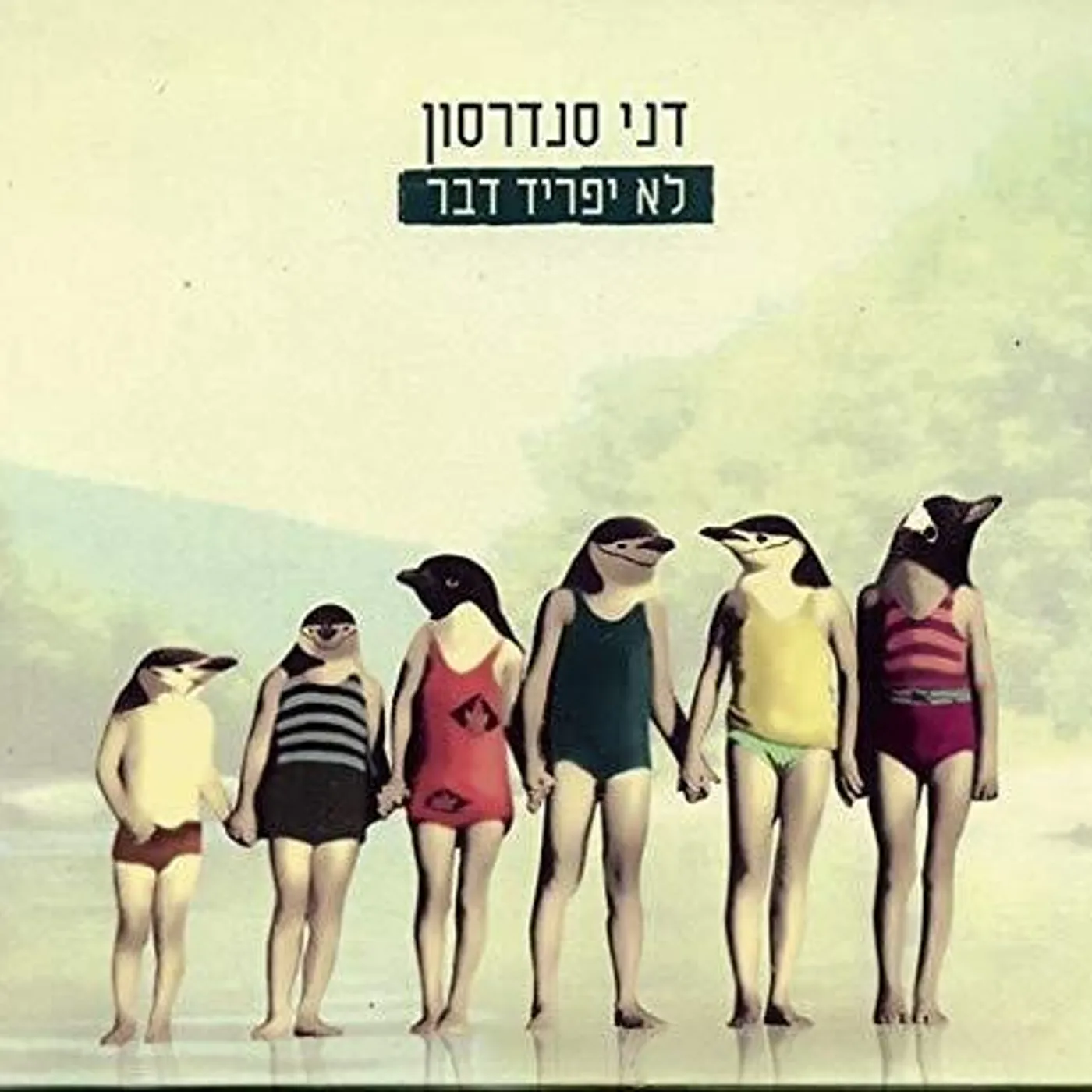 Dani Sanderson Brand Page