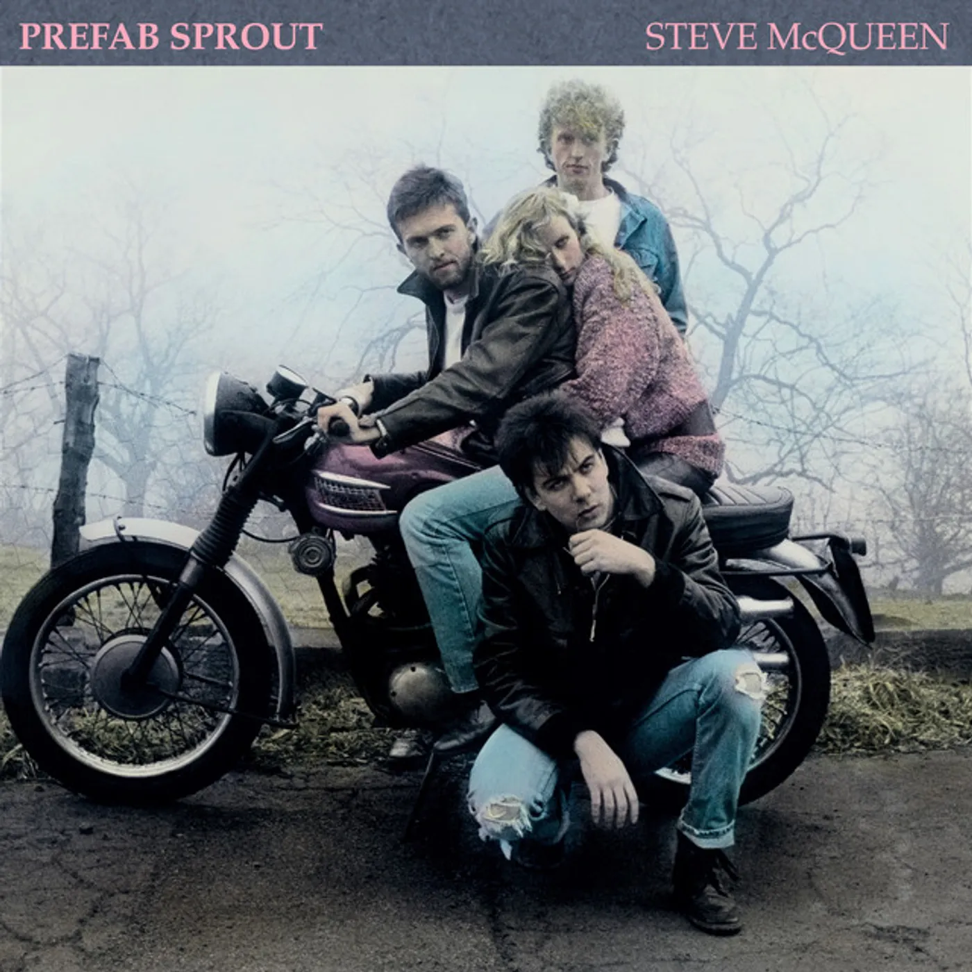 Prefab Sprout STEVE MCQUEEN CD