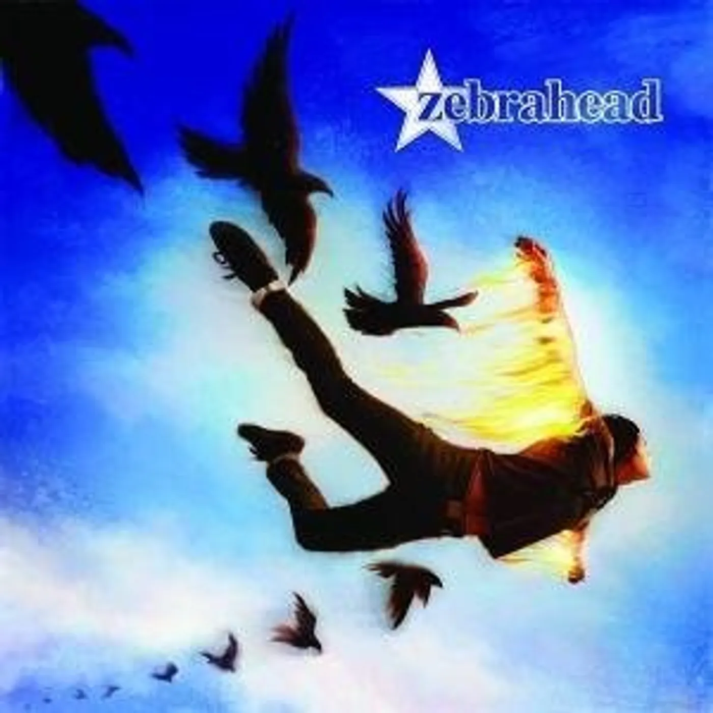zebrahead PHOENIX CD