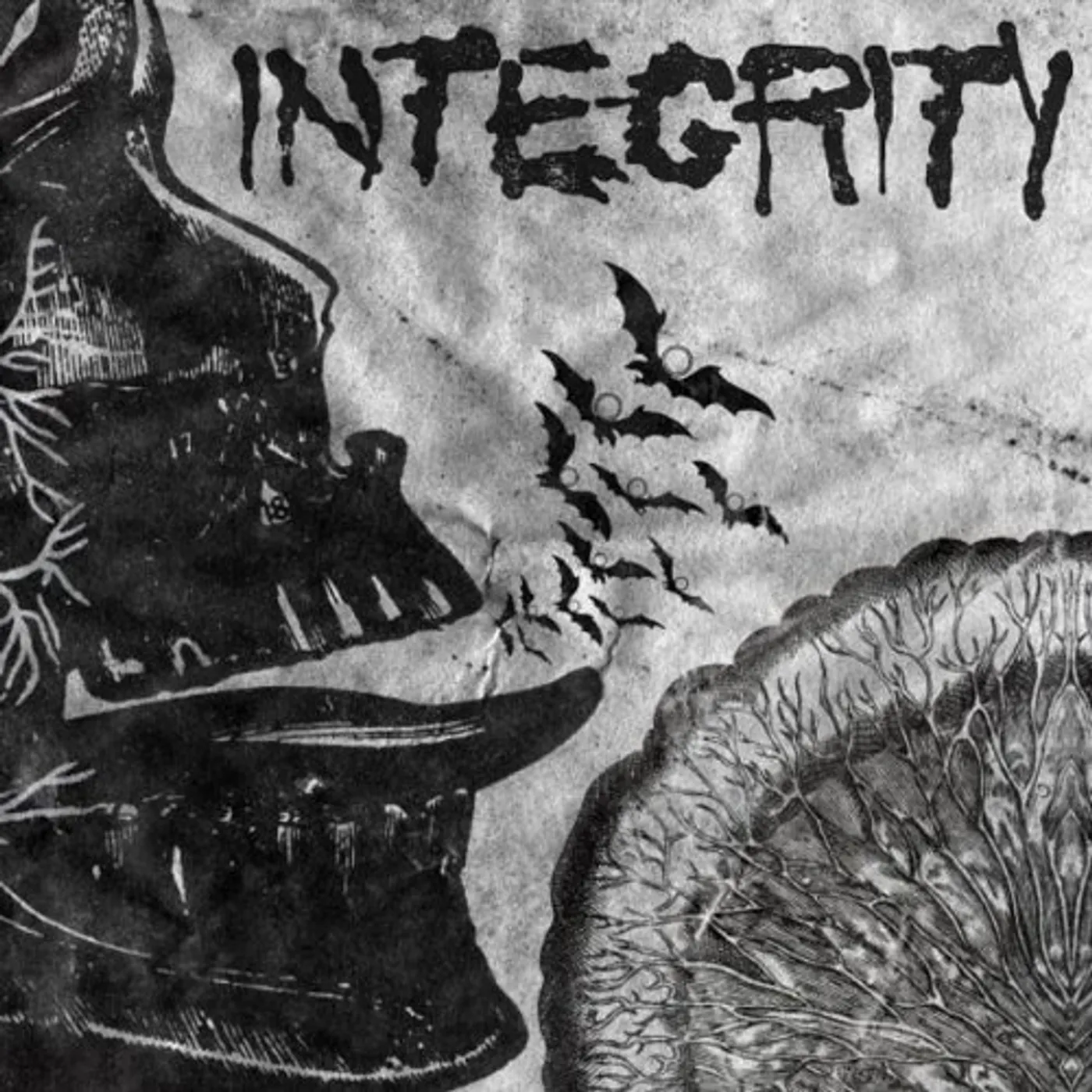 Integrity Suicide Black Snake Vinyl Record