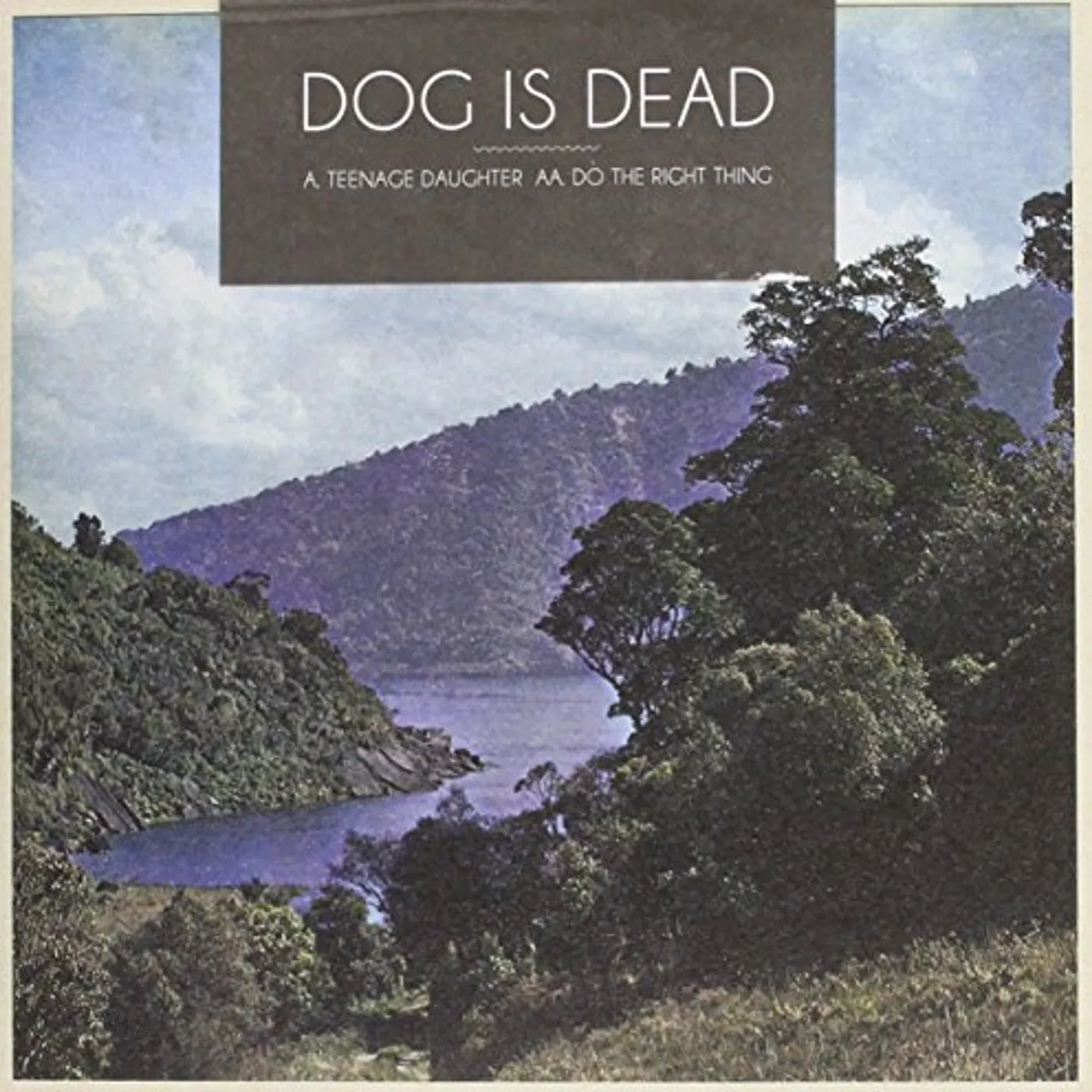 Dog Is Dead TEENAGE DAUGHTER / DO THE RIGHT THING Vinyl Record