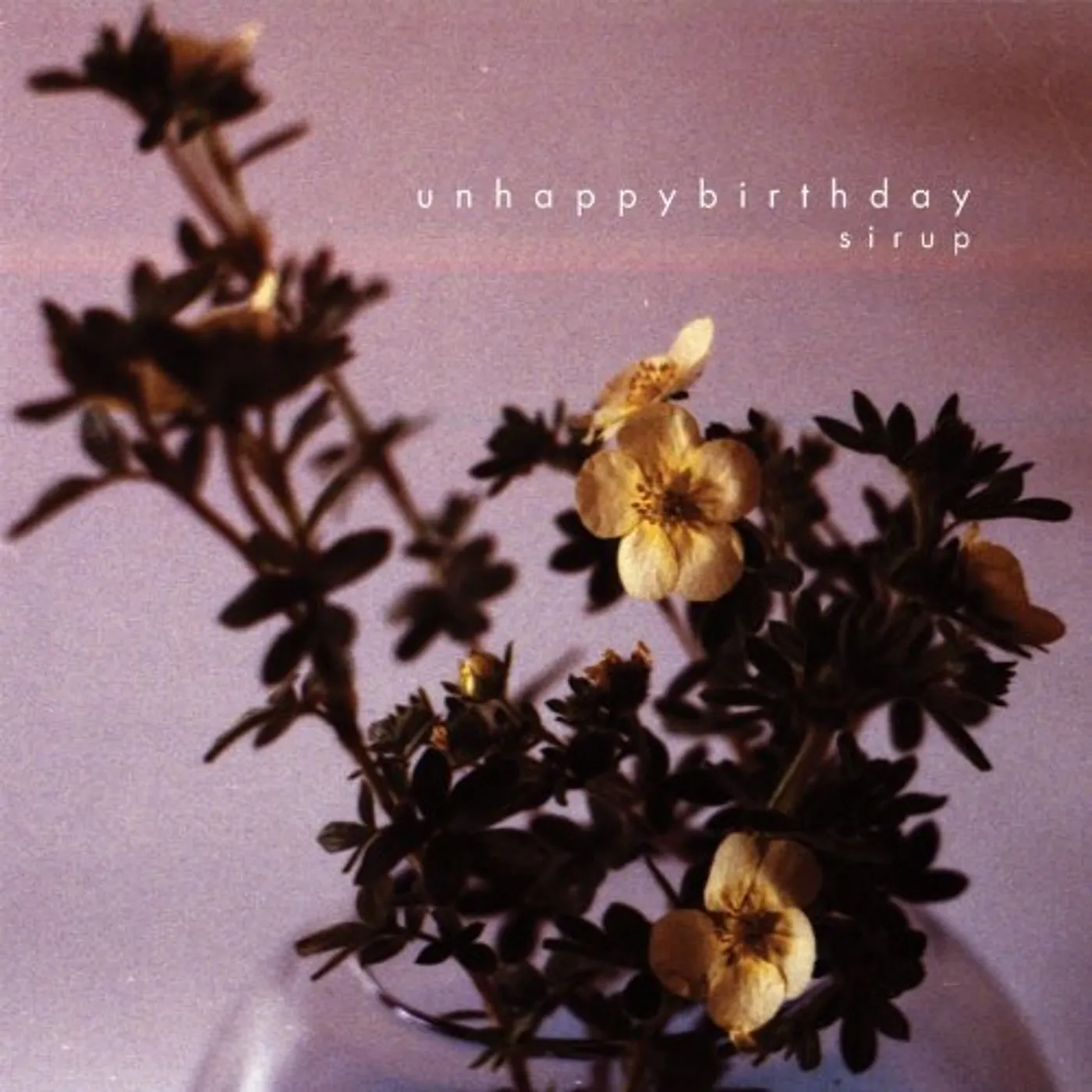 Unhappybirthday SIRUP Vinyl Record