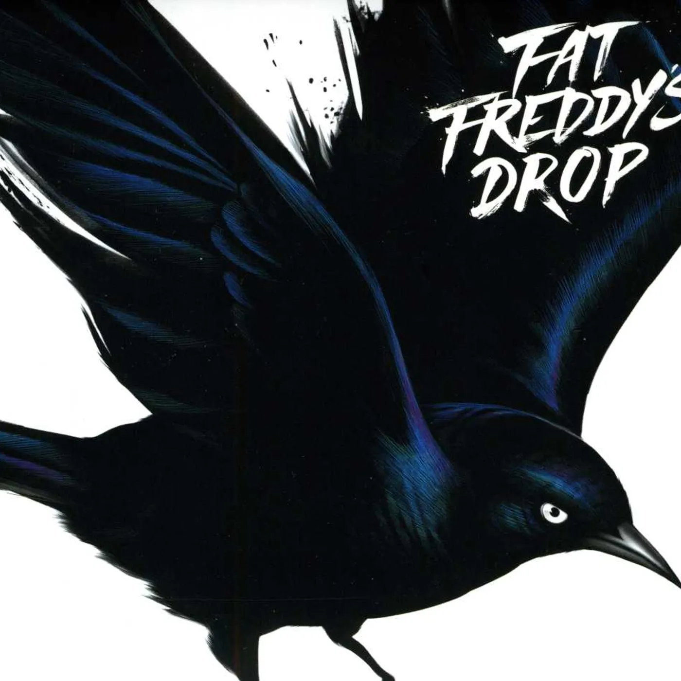 Fat Freddy's Drop BLACKBIRD CD