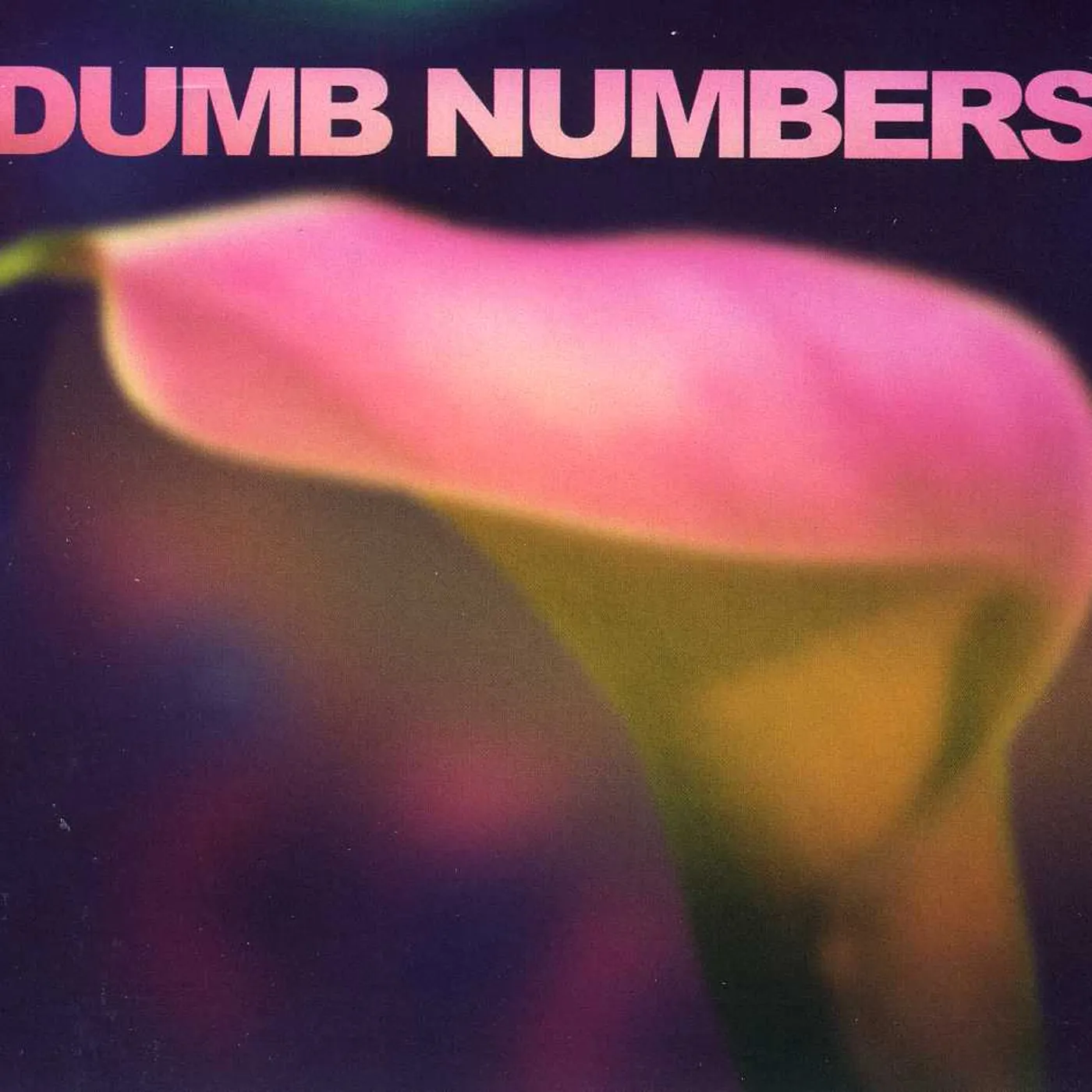 DUMB NUMBERS CD