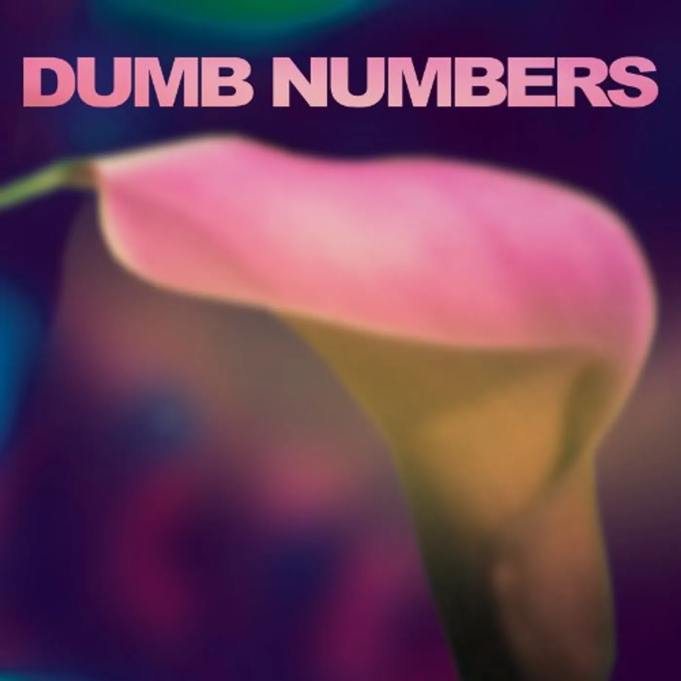 Dumb Numbers Vinyl Record