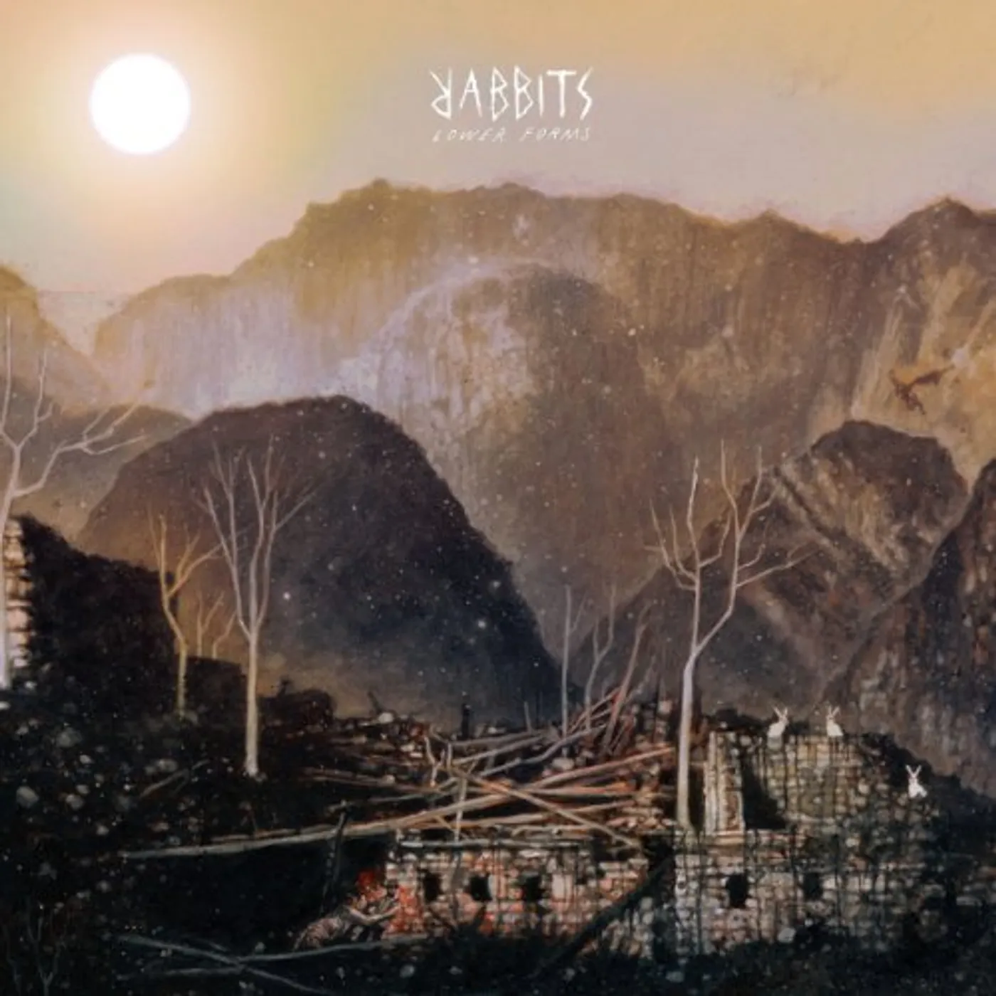 Rabbits Lower Forms Vinyl Record