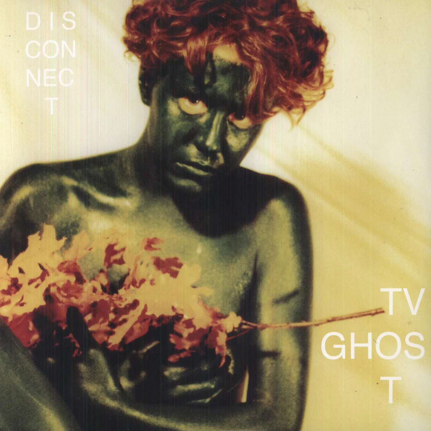 TV Ghost Disconnect Vinyl Record