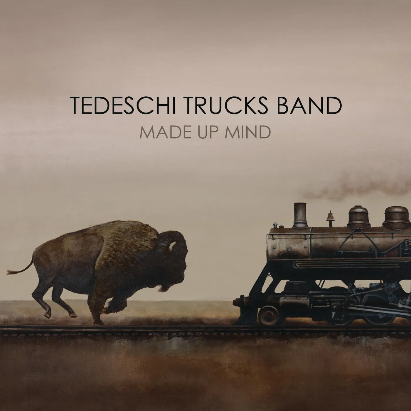 Tedeschi Trucks Band MADE UP MIND CD