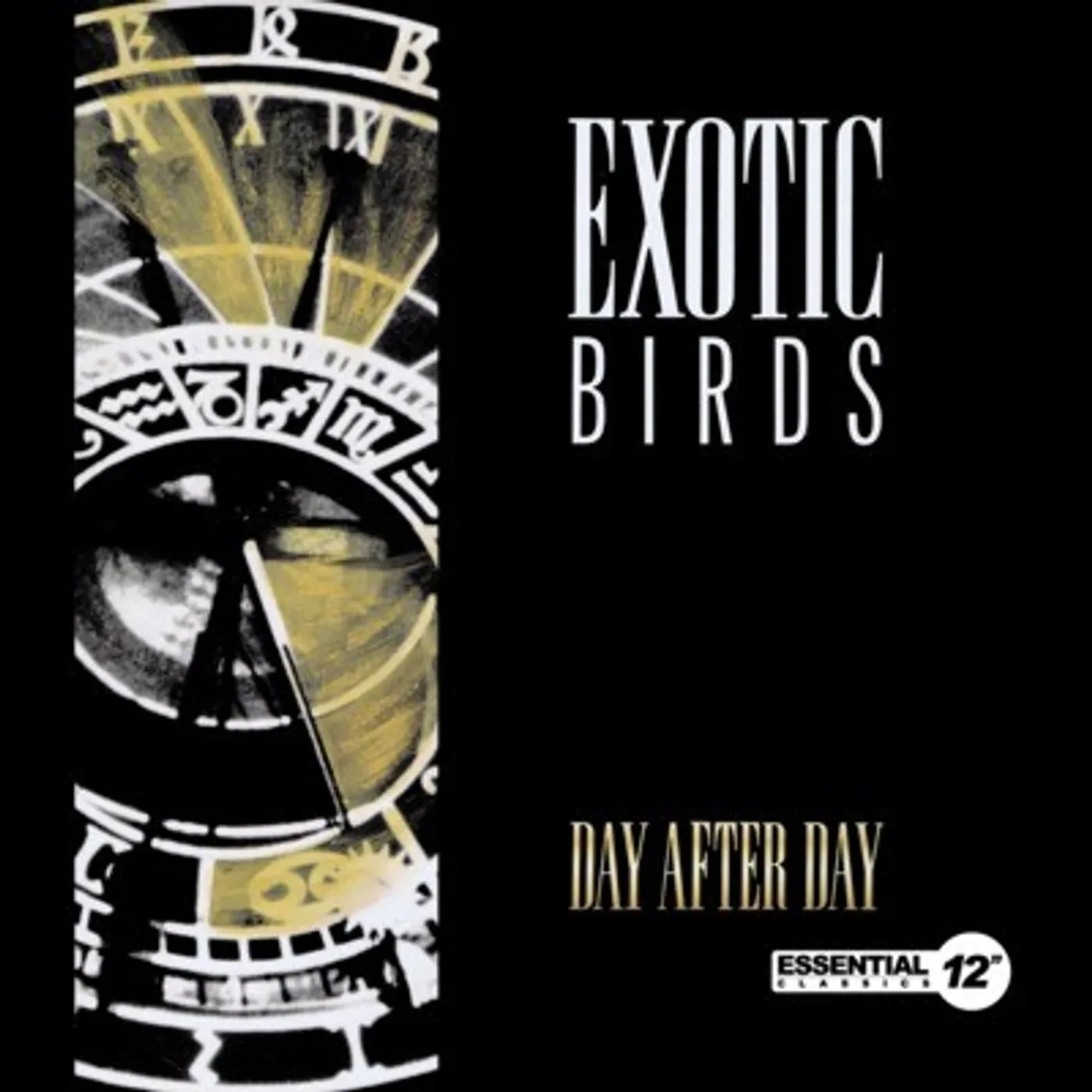 Exotic Birds DAY AFTER DAY CD