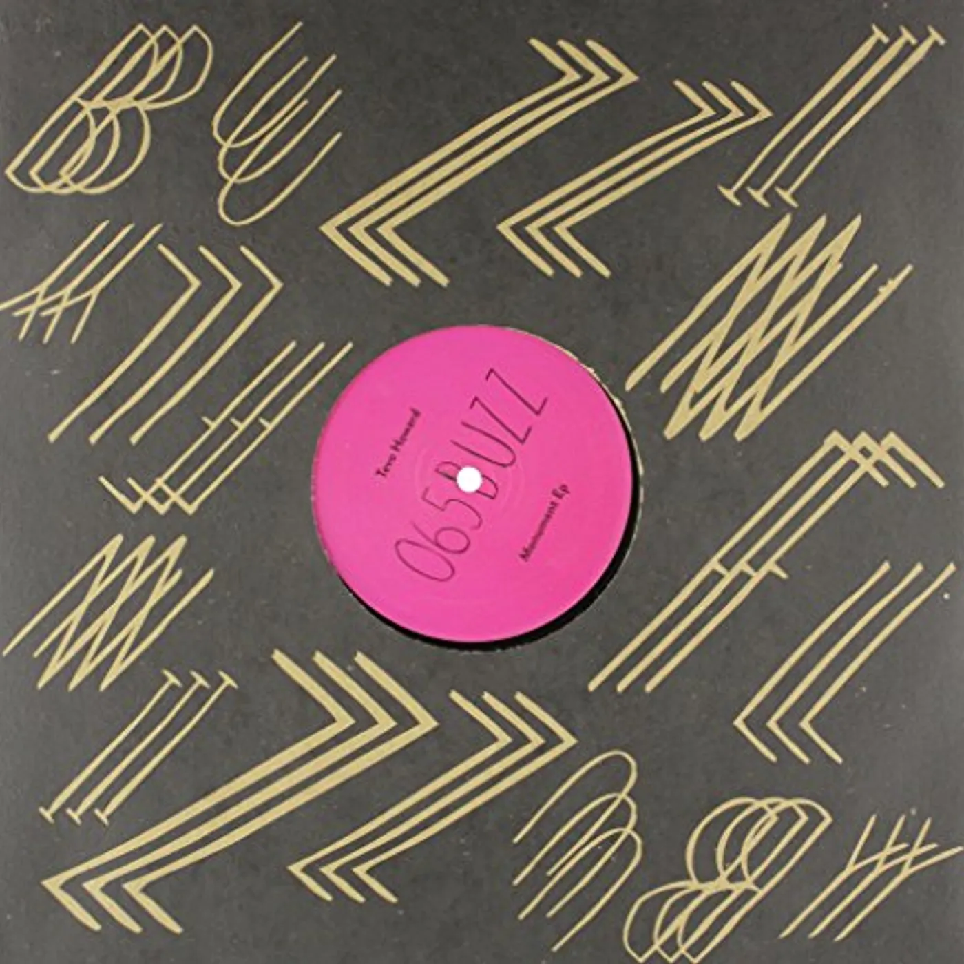 Tevo Howard MONUMENT Vinyl Record