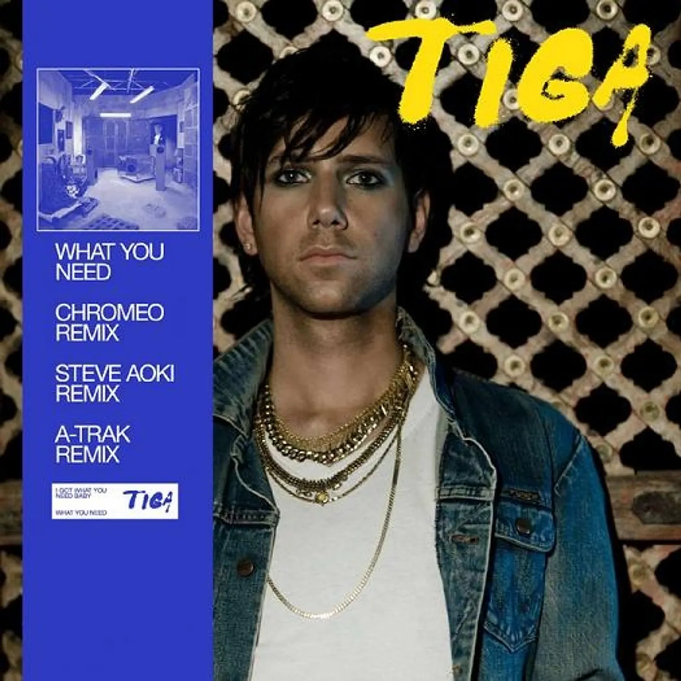 Tiga What You Need Vinyl Record