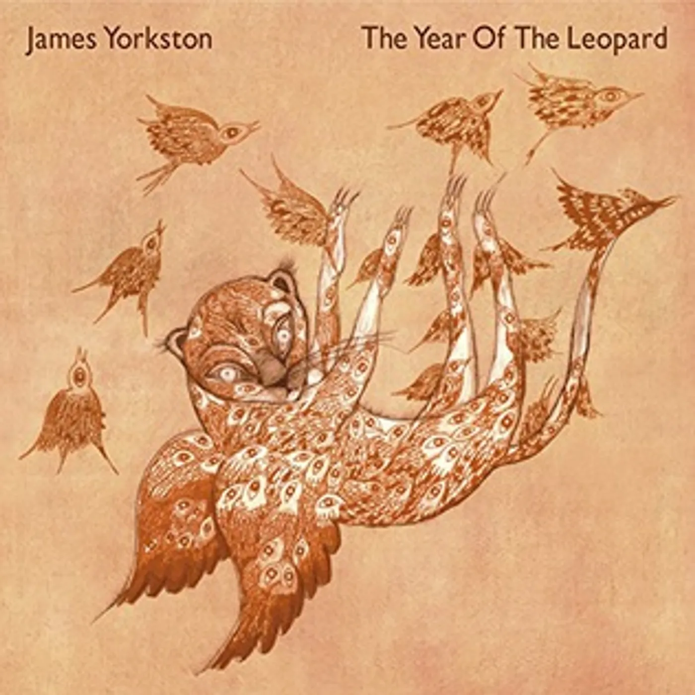 James Yorkston YEAR OF THE LEOPARD Vinyl Record