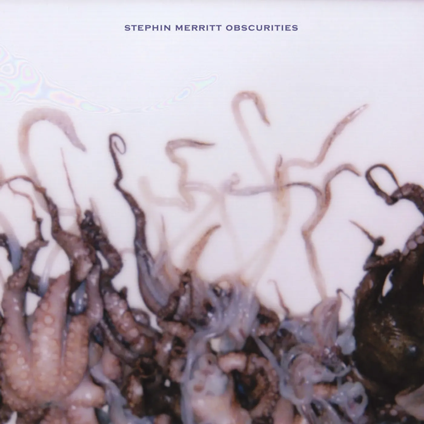 Stephin Merritt Obscurities Vinyl Record
