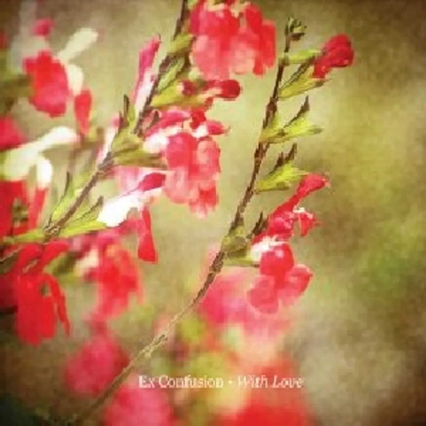 Ex Confusion WITH LOVE CD