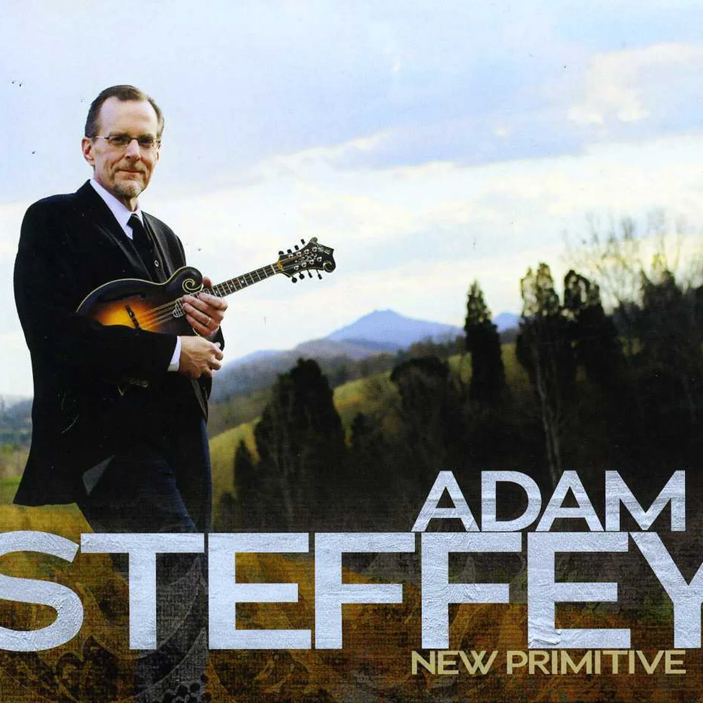 Adam Steffey NEW PRIMITIVE CD