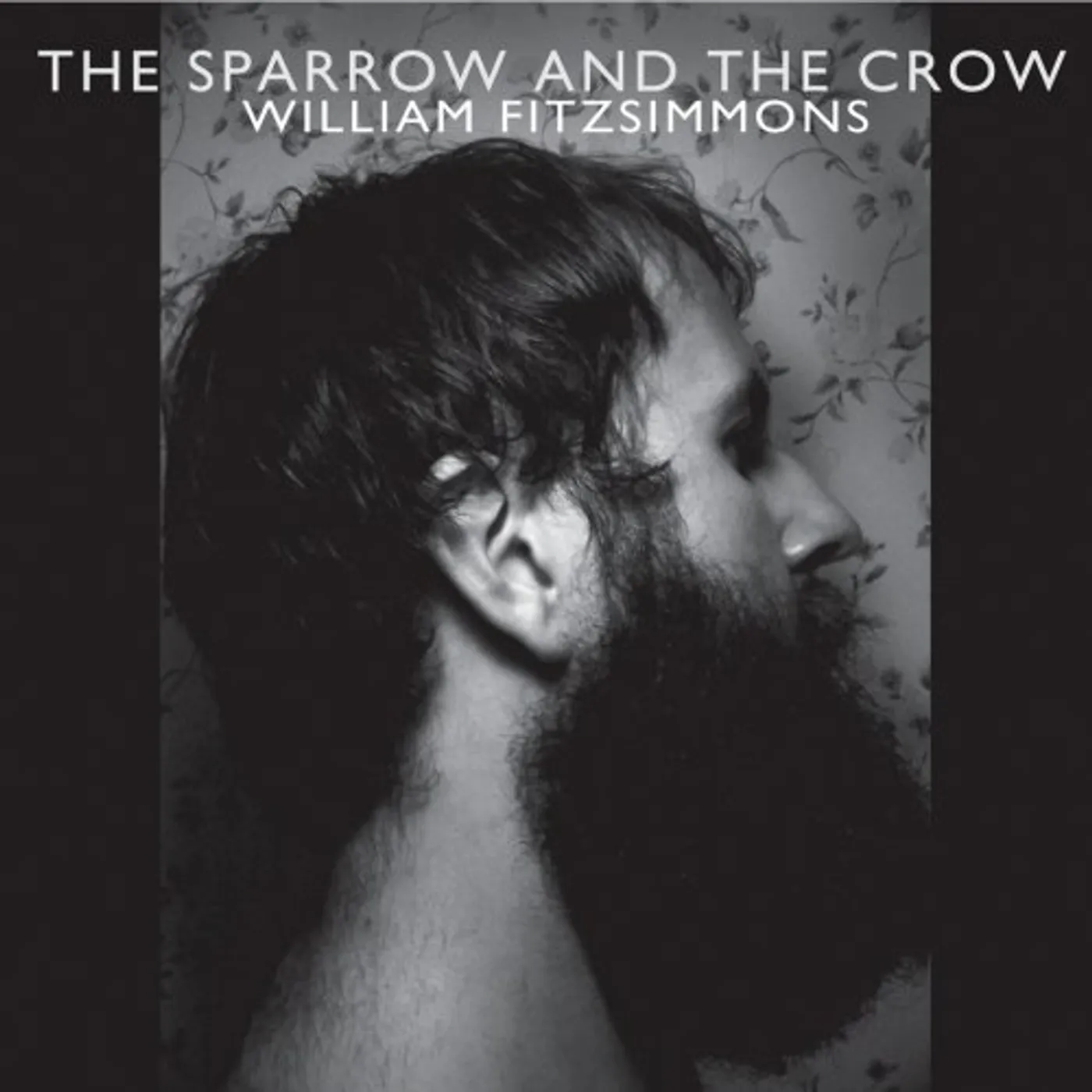 William Fitzsimmons SPARROW & THE CROW Vinyl Record