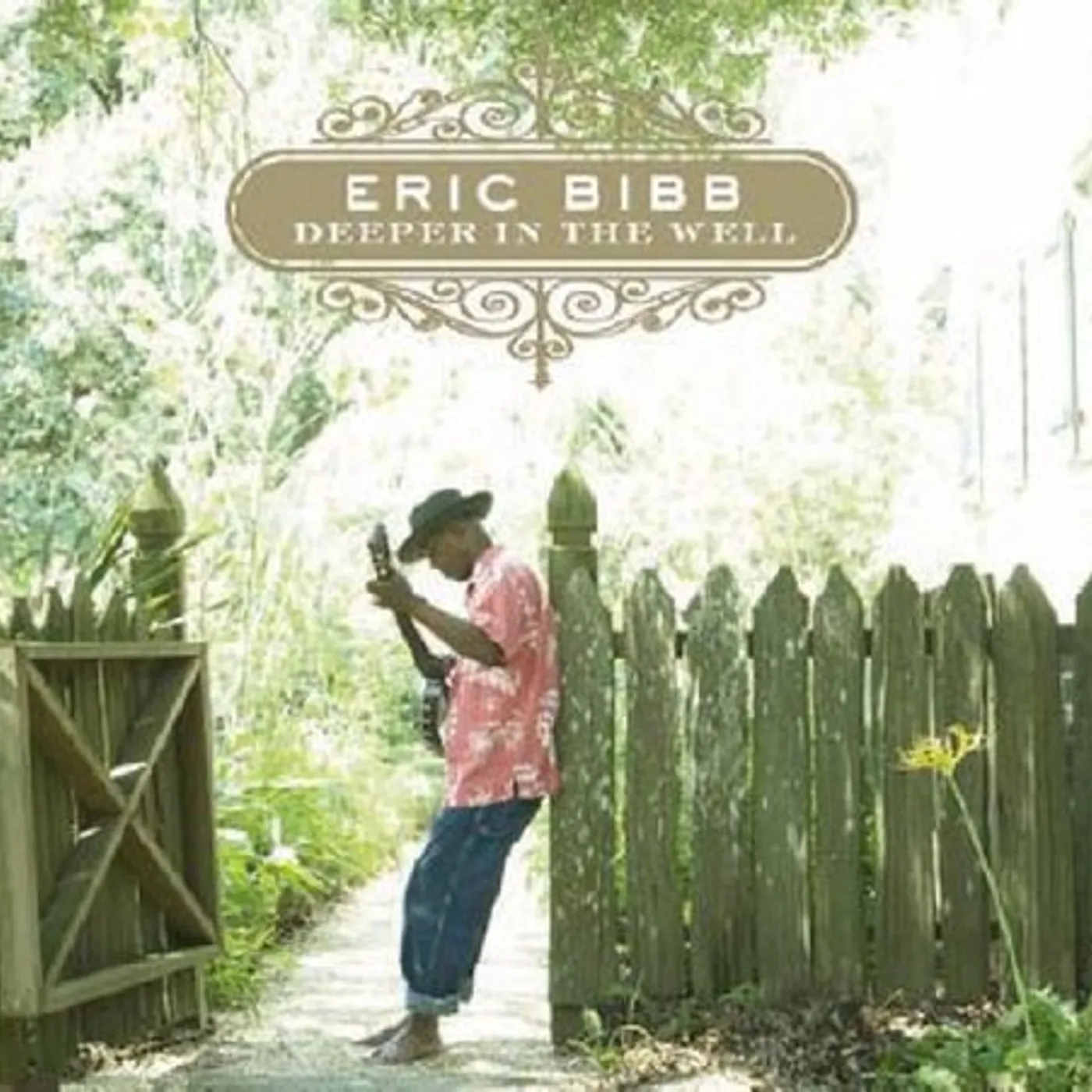Eric Bibb Deeper In The Well Vinyl Record