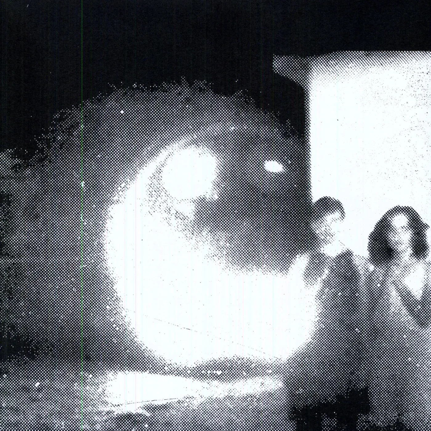 Other Lives Tamer Animals Vinyl Record