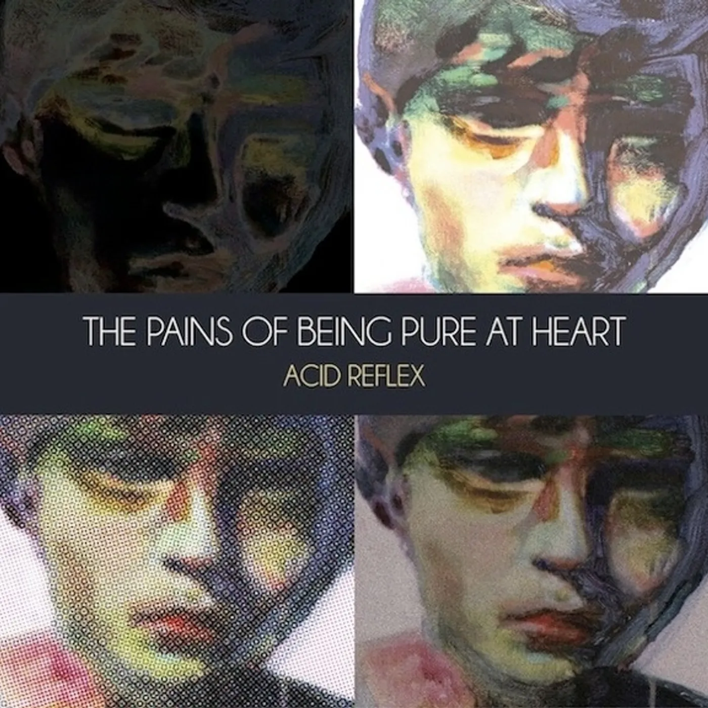 The Pains Of Being Pure At Heart Acid Reflex Vinyl Record