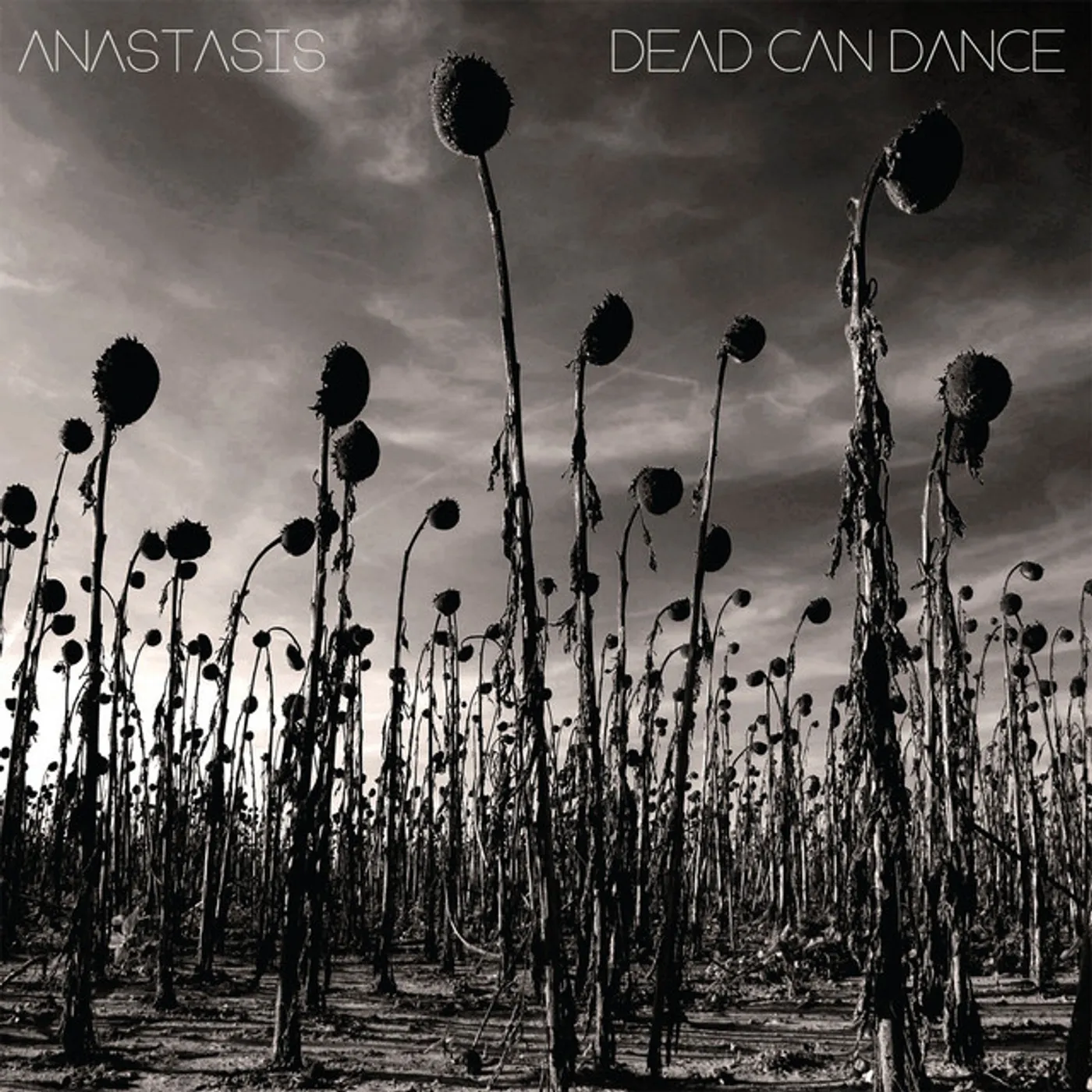 Dead Can Dance ANASTASIS CD