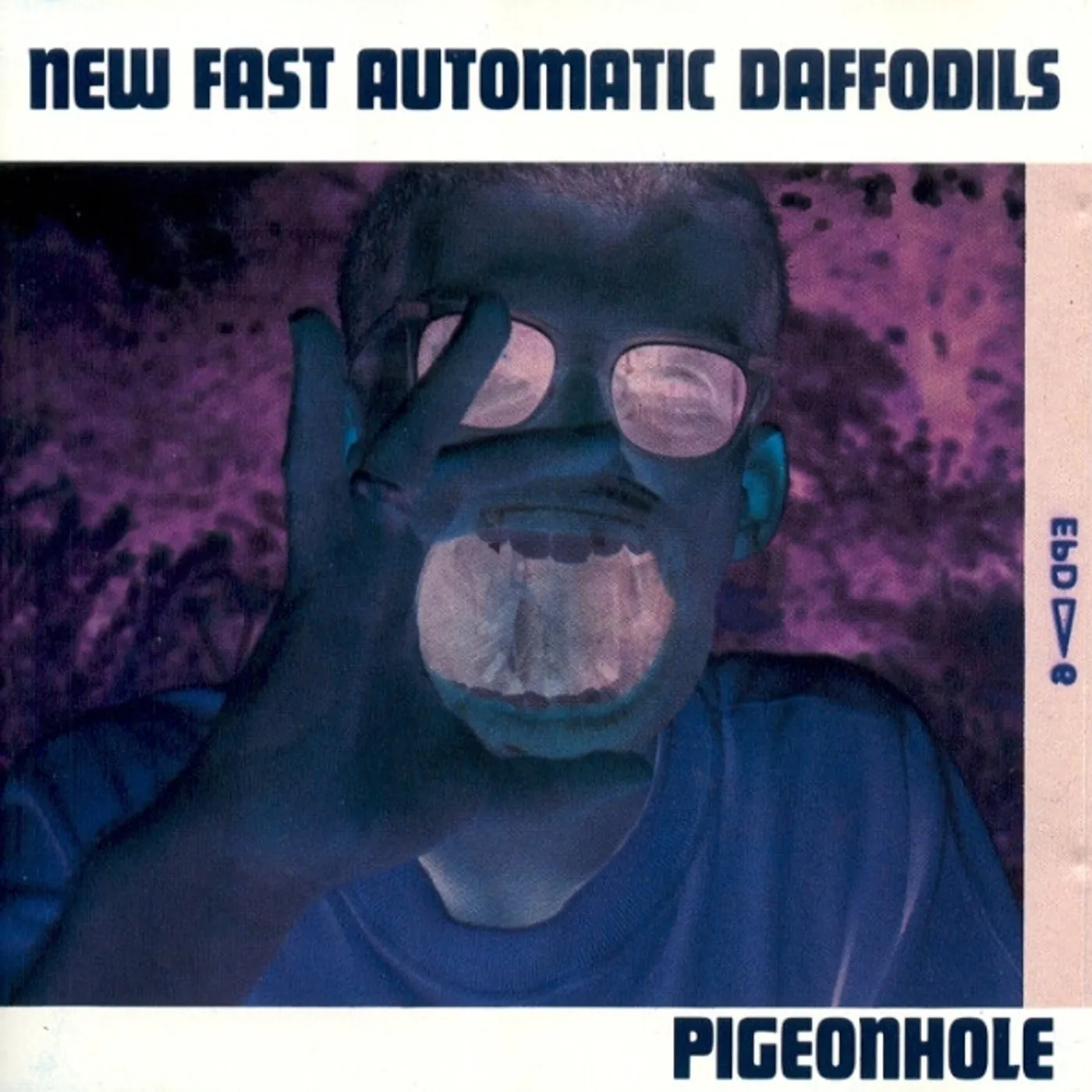 New Fast Automatic Daffodils PIGEON HOLE Vinyl Record