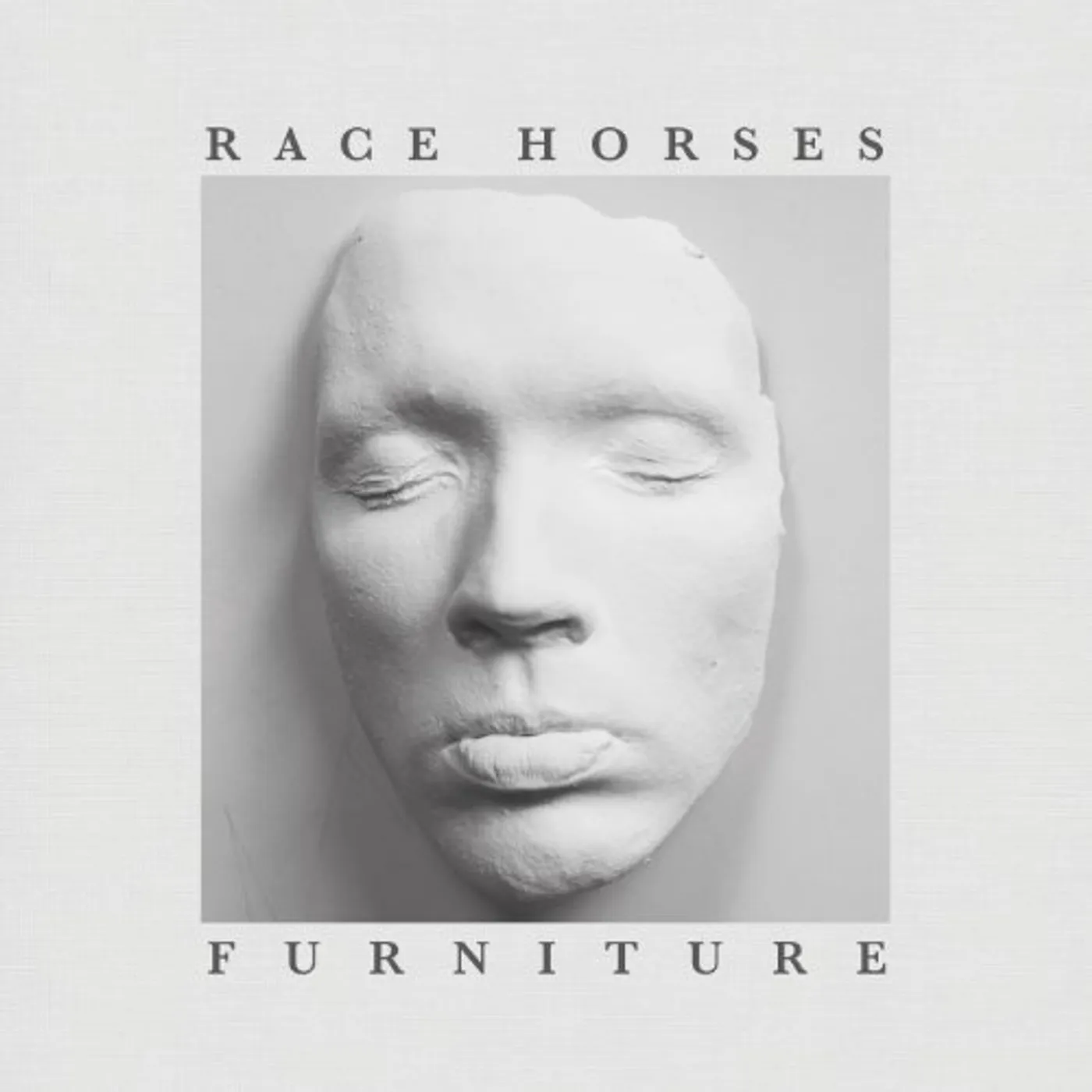 Race Horses Furniture Vinyl Record