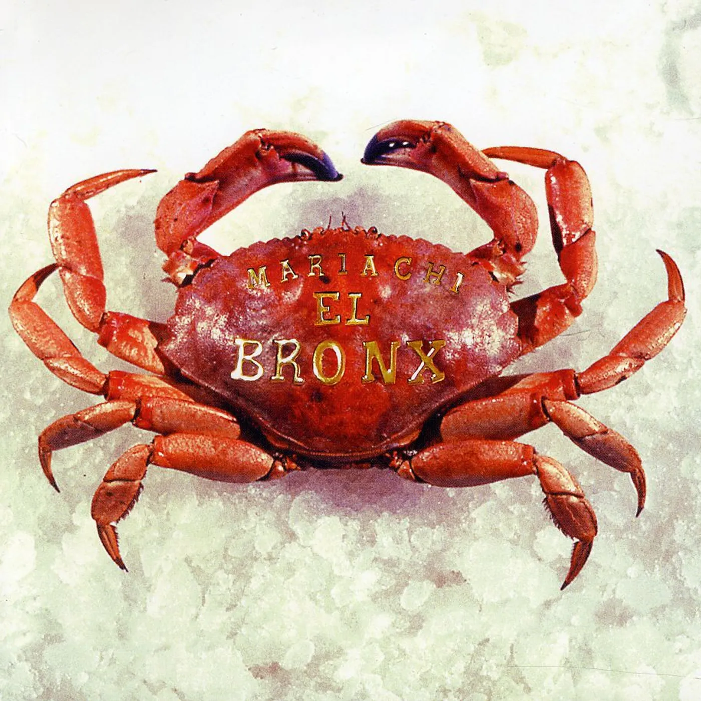 MARIACHI EL BRONX (I) CD