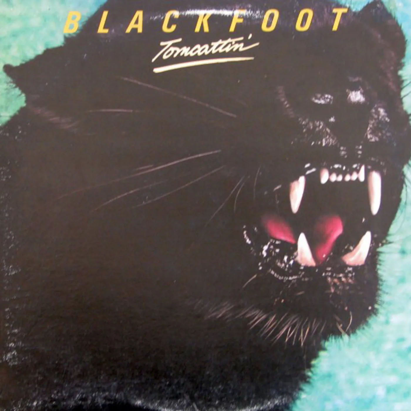 Blackfoot TOMCATTIN CD
