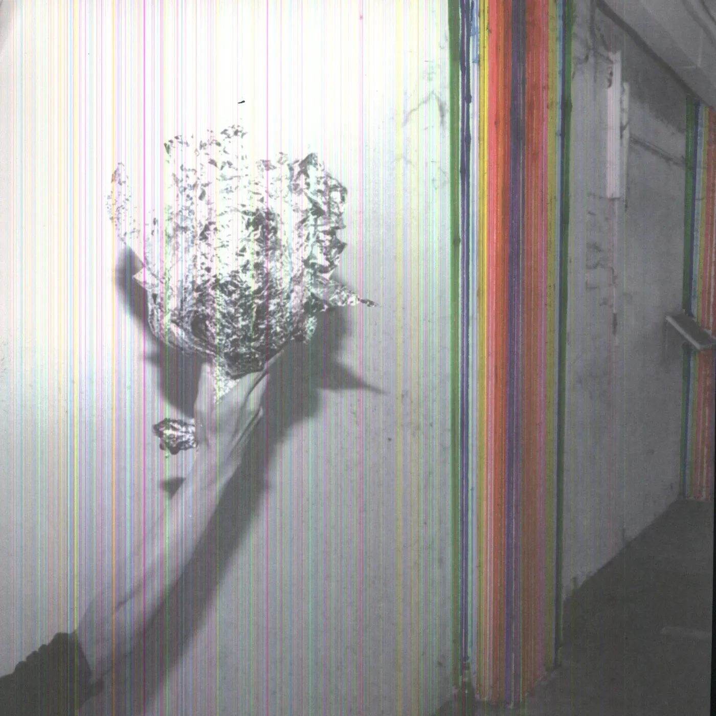 Pond Hobo Rocket Vinyl Record