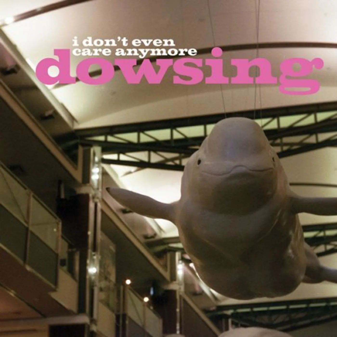 Dowsing DONT EVEN CARE ANYMORE CD