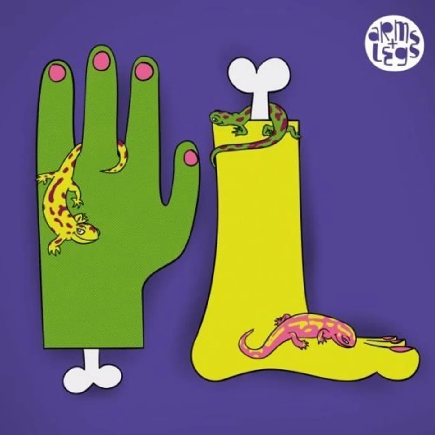 Daniel Steinberg SALAMANDER Vinyl Record