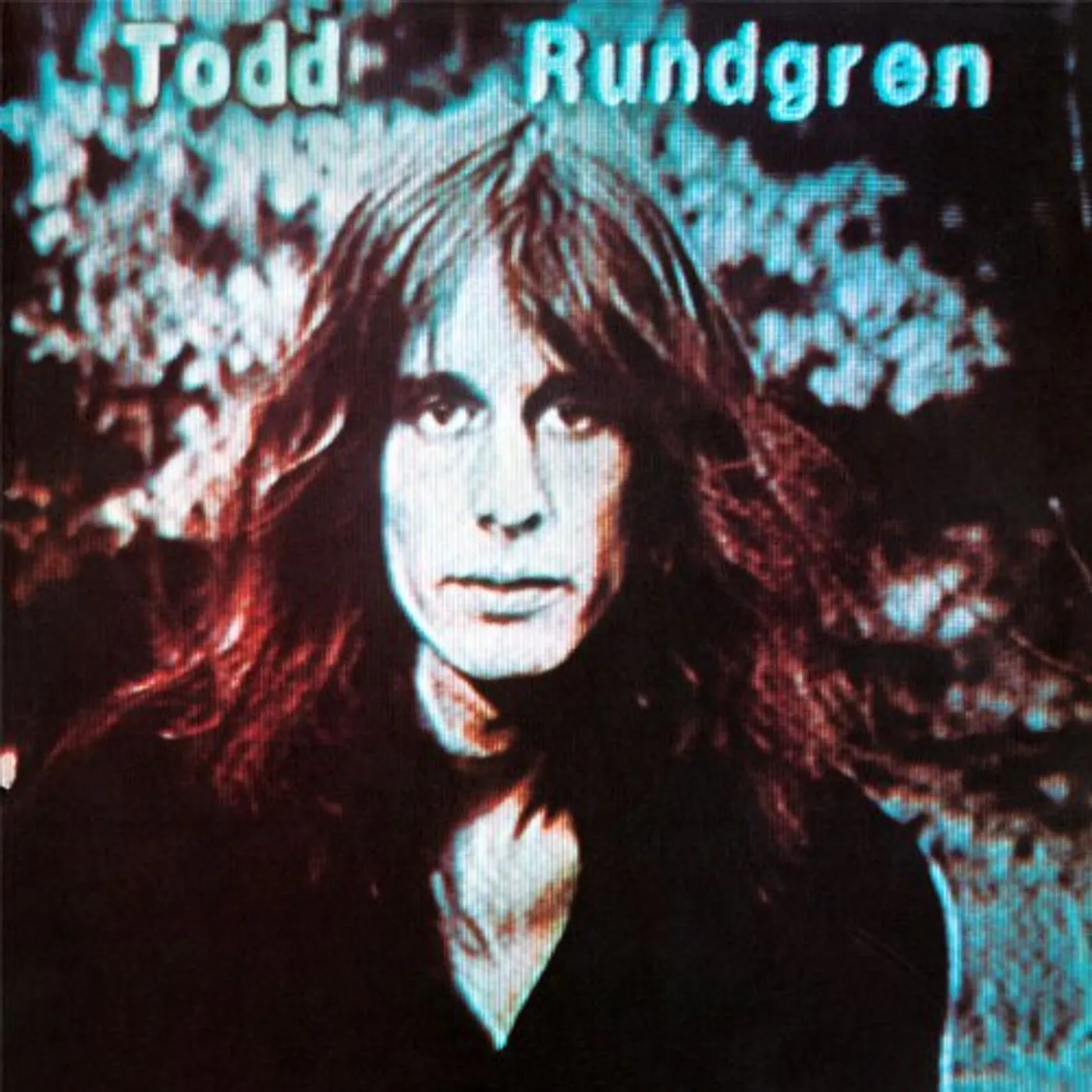 Todd Rundgren Hermit Of Mink Hollow Vinyl Record