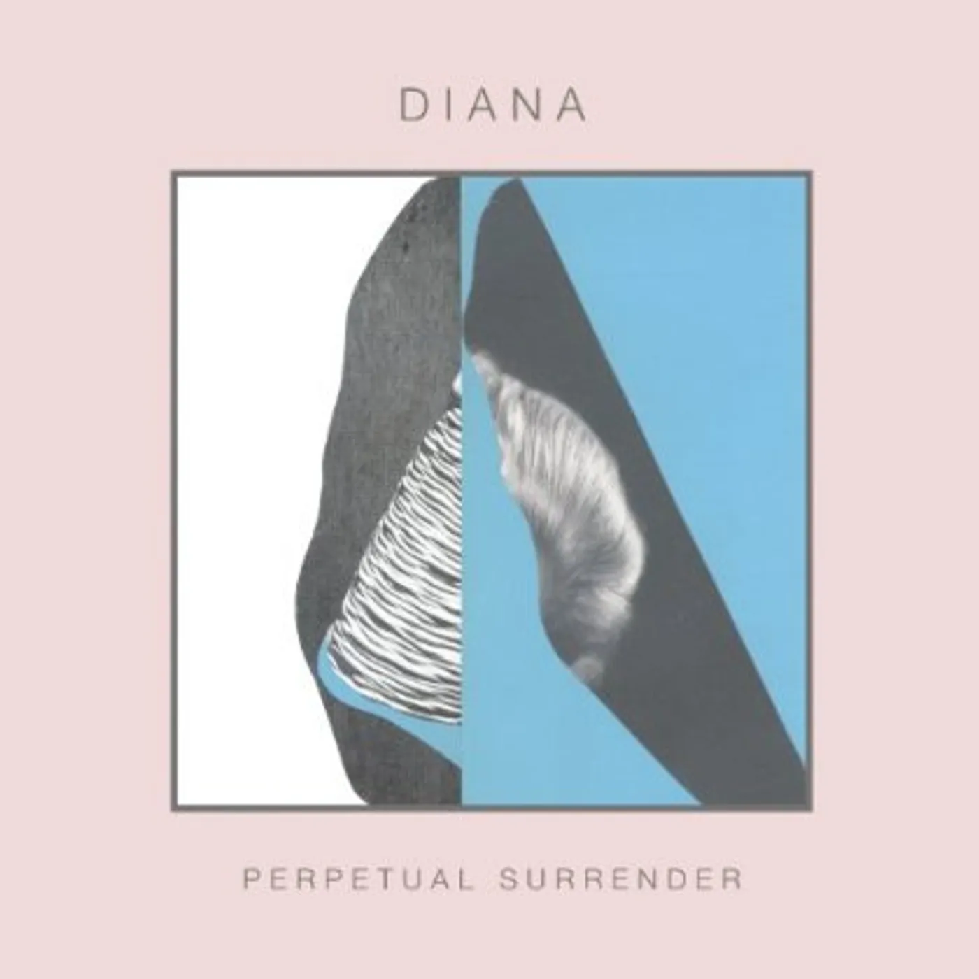 DIANA Perpetual Surrender Vinyl Record
